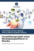 Investitionsprojekt einer Marktplatzplattform in Mexiko