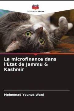 Cover La microfinance dans l'État de Jammu & Kashmir
