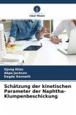 Schätzung der kinetischen Parameter der Naphtha-Klumpenbeschickung