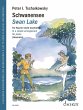 Swan Lake (eBook, PDF) - Bild 1