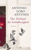 Der Archipel der Schlaflosigkeit (eBook, ePUB)