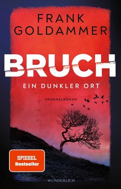 Ein dunkler Ort / Felix Bruch Bd.1 - Goldammer, Frank
