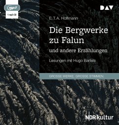 Die Bergwerke zu Falun und andere Erzählungen - Hoffmann, E. T. A.