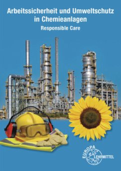 Arbeitssicherheit und Umweltschutz in Chemieanlagen - Hein, Mario