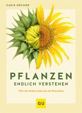 Pflanzen endlich verstehen (eBook, ePUB)
