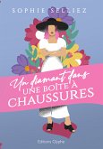 Un diamant dans une boîte à chaussures (eBook, ePUB)