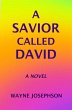 A Savior Called David (eBook, ePUB) - Bild 1