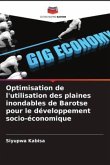 Optimisation de l'utilisation des plaines inondables de Barotse pour le développement socio-économique