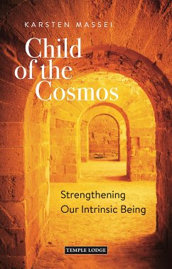 Child of the Cosmos (eBook, ePUB) - Massei, Karsten