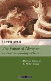 The Future of Ahriman and the Awakening of Souls (eBook, ePUB)