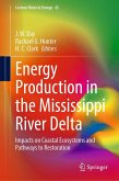 Energy Production in the Mississippi River Delta (eBook, PDF)