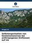 Selbstorganisation von Gesteinsmassiven bei anthropogenen Einflüssen auf sie