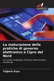 La maturazione delle pratiche di governo elettronico a Cipro del Nord