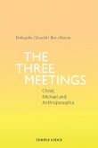 The Three Meetings (eBook, ePUB)