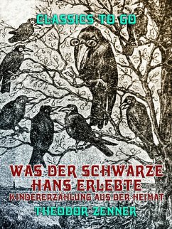Was der schwarze Hans erlebte, Kindererzählung aus der Heimat (eBook, ePUB) - Zenner, Theodor