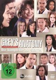 Grey's Anatomy - Die komplette zehnte Staffel