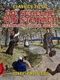 Die Schelme von Steinach, Erzählung für die Jugend (eBook, ePUB)