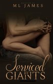 Serviced by Giants 1 (eBook, ePUB)