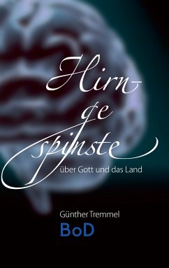 Hirngespinste (eBook, ePUB)