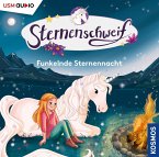 Funkelnde Sternennacht / Sternenschweif Bd.61