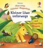 Kleiner Löwe unterwegs / mein erstes Entdecker-Klappbuch Bd.5