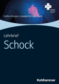 Lehrbrief Schock - Halfen, Tim;Alvarez Losada, Kevin;Görtzen-Patin, Jan