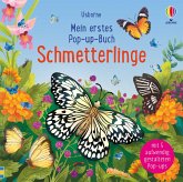 Schmetterlinge / Mein erstes Pop-up-Buch Bd.5