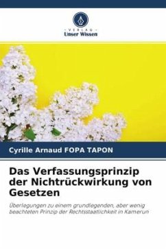 Das Verfassungsprinzip der Nichtrückwirkung von Gesetzen - FOPA TAPON, Cyrille Arnaud