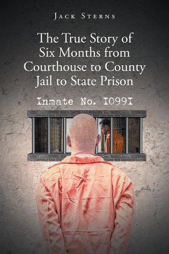 The True Story of Six Months from Courthouse to County Jail to State Prison - Sterns, Jack