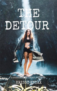 Cover Detour (eBook, ePUB)