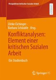 Konfliktanalysen: Element einer kritischen Sozialen Arbeit (eBook, PDF)