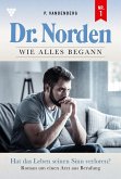 Dr. Norden - Wie alles begann 1 - Arztroman (eBook, ePUB)