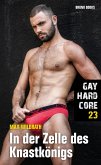 Gay Hardcore 23: In der Zelle des Knastkönigs (eBook, ePUB)