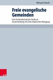 Freie evangelische Gemeinden (eBook, PDF)