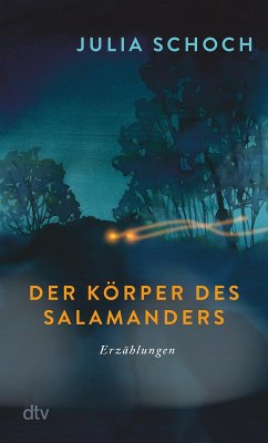 Der Körper des Salamanders (eBook, ePUB) - Schoch, Julia