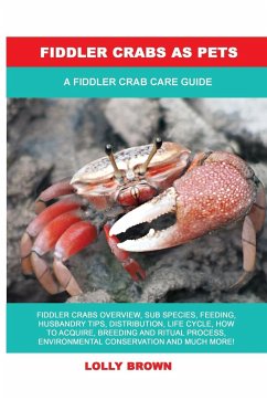 Fiddler Crabs as Pets - Brown, Lolly
