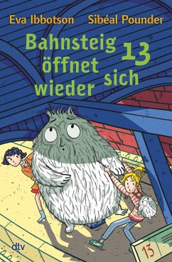 Bahnsteig 13 öffnet sich wieder (eBook, ePUB) - Pounder, Sibéal; Ibbotson, Eva