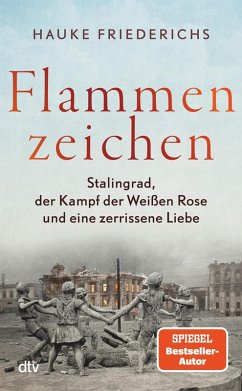 Flammenzeichen (eBook, ePUB) - Friederichs, Hauke