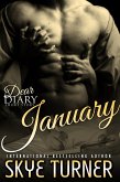 January (Dear Diary Short Stories) (eBook, ePUB) January (Dear Diary Short Stories) (eBook, ePUB)