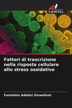 Fattori di trascrizione nella risposta cellulare allo stress ossidativo - Oluwafemi, Funmilola Adebisi