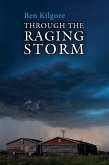 Through the Raging Storm (eBook, ePUB)