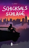 Schicksalsschläge (eBook, ePUB)