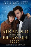 Stranded with the Billionaire Doc (Doctors of Silver Valley) (eBook, ePUB)