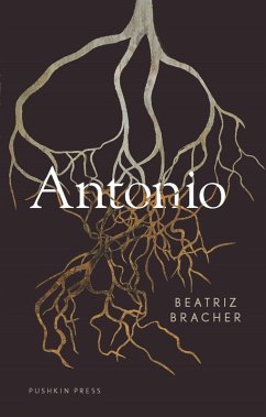 Antonio (eBook, ePUB) - Bracher, Beatriz