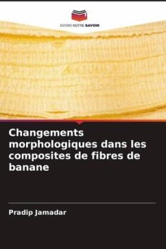 Changements morphologiques dans les composites de fibres de banane - Jamadar, Pradip