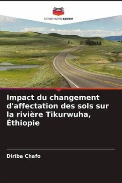 Impact du changement d'affectation des sols sur la rivière Tikurwuha, Éthiopie - Chafo, Diriba