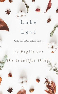 So Fragile Are the Beautiful Things - Levi, Luke