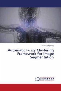 Automatic Fuzzy Clustering Framework for Image Segmentation