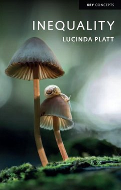 Inequality - Platt, Lucinda