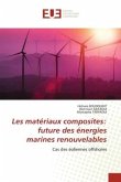 Les matériaux composites: future des énergies marines renouvelables